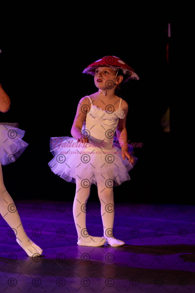 Ballettaufführung-647 | Bildershop Lem'n Entertainment - Realisiert mit Pictrs.com