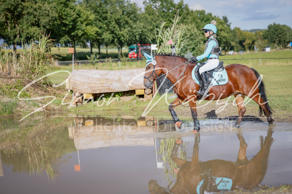 20250905-_3LI1595 | Tierfotografie Pferde, Hunde, Katzen, Haustiere.
Turnierfotografie Reitturniere, Reiten, Springreiten, Dressur in Hanau, dem Main-Kinzig-Kreis und dem Rhein-Main- Gebiet um Frankfurt
