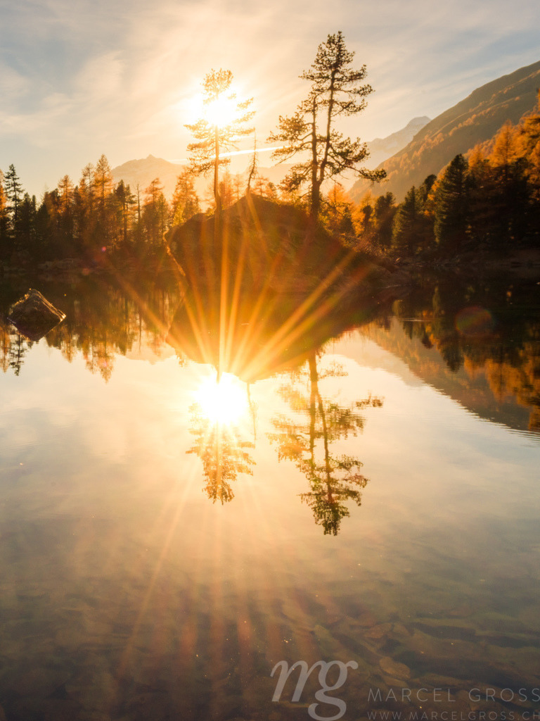 Goldener Herbst am Lago di Saoseo im Val di Campo, Poschiavo, Schweiz | island with trees in the water of Lago di Saoseo during the golden hour - Realisiert mit Pictrs.com