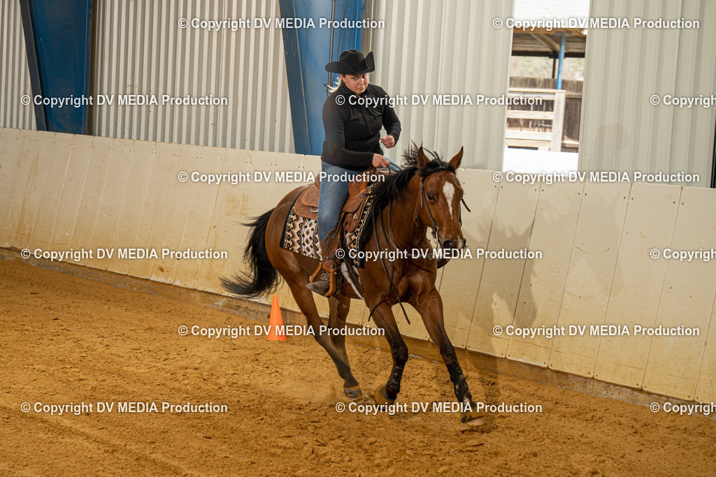 MIT00297 | dv-media-shop - Realisiert mit Pictrs.com