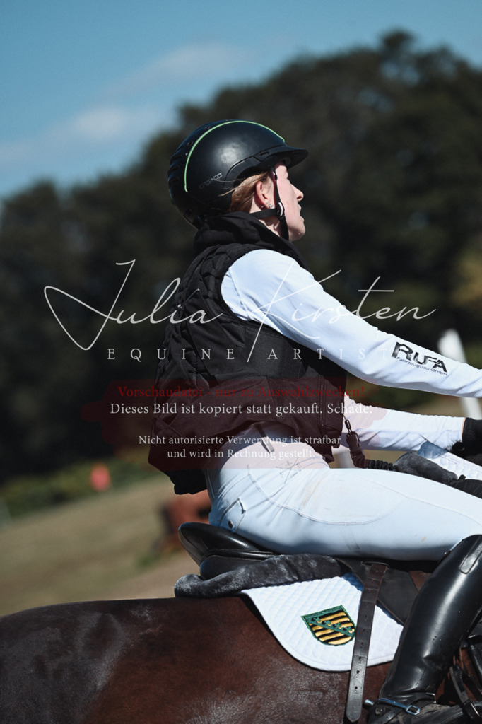 DSC_8653 | Pferde- und Turnierfotografie in Westsachsen. Pferdeportraits, Auftragszeichnungen und intuitive Kunst.