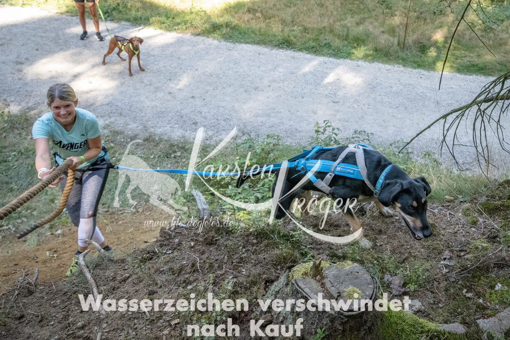 1205_ZZ93427 | kk-dogfotos