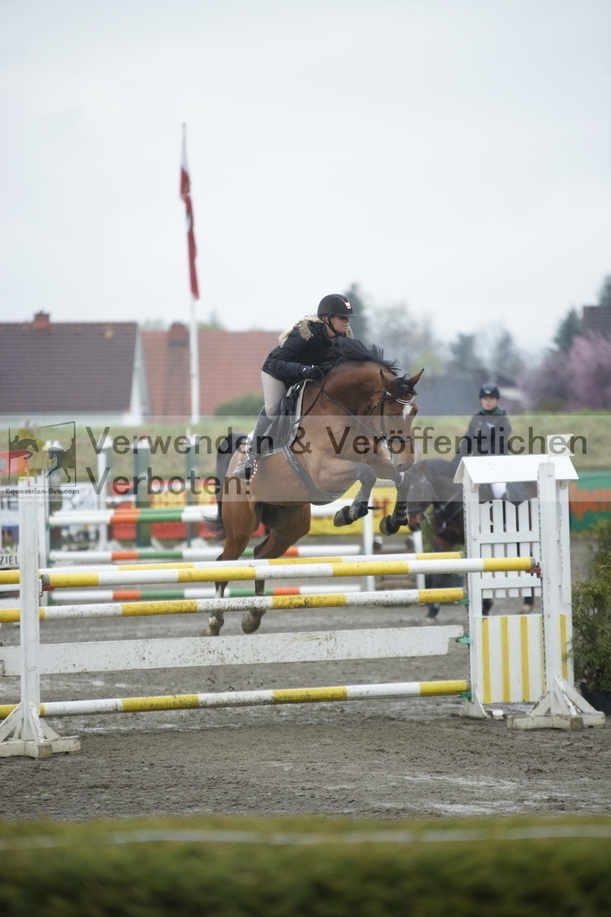 _DSC6304 | equestrian-live-com
