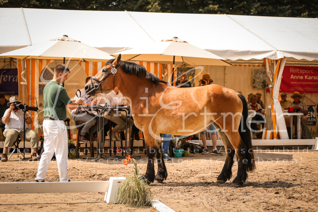 2.Sa00066 | Leoni Ertmer Photography - Realisiert mit Pictrs.com