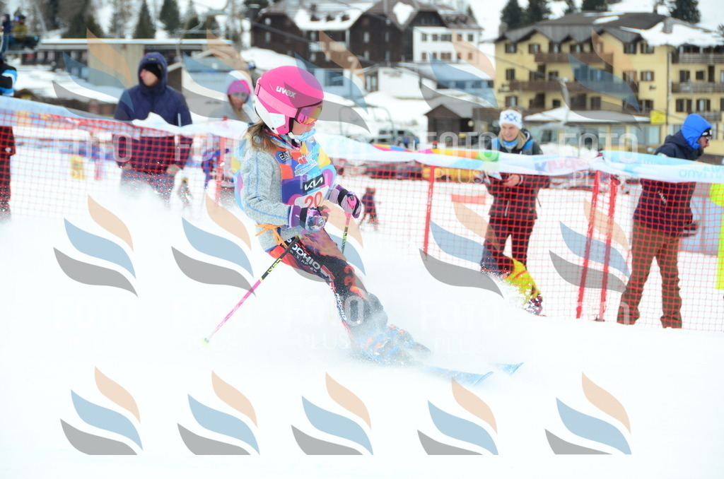 DSC_0771 | holidayphoto