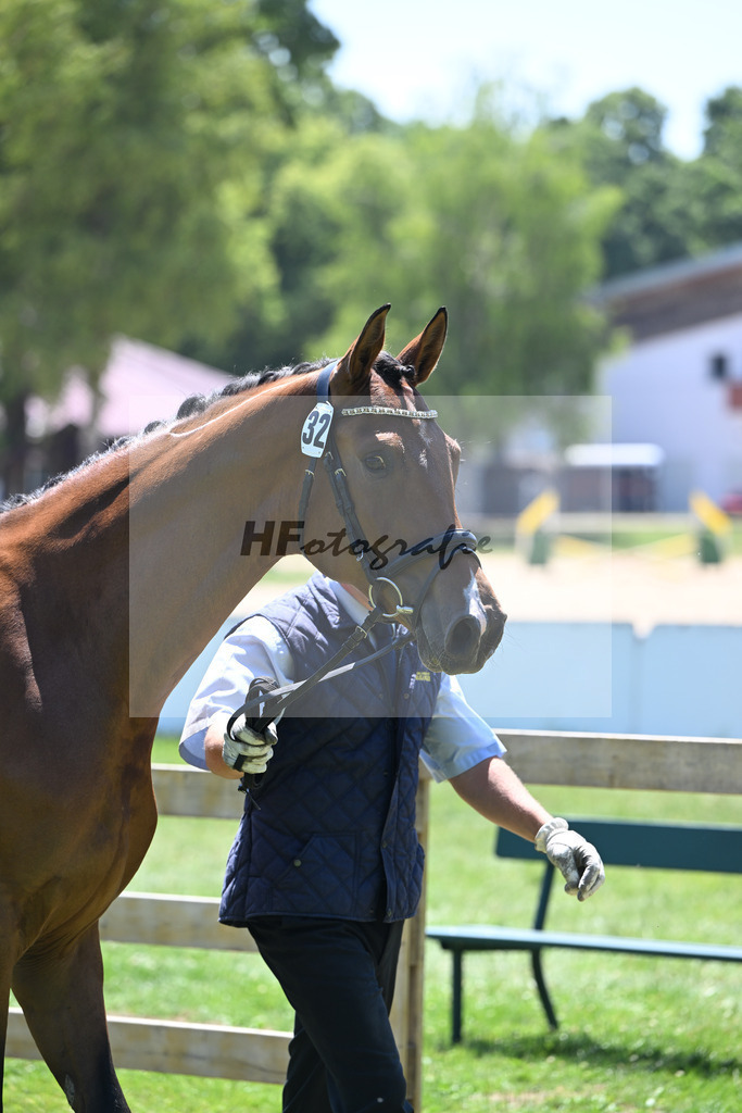 Kat-Nr. 32 Goldona v. Fusionist_HLG Schwaiganger_19250612 | hf-fotografie - Realizzato con Pictrs.com