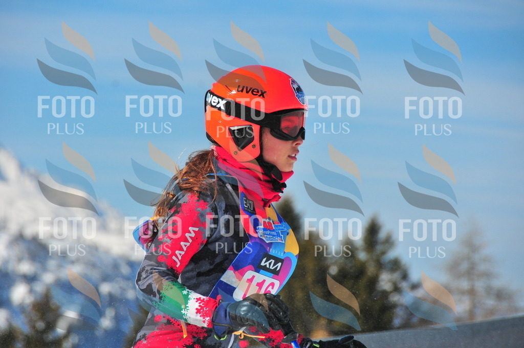 DSC_4730 | holidayphoto