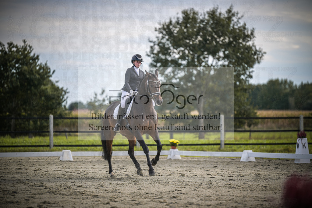 DOS_1565 | Entdecke hochwertige Reitturnierfotos von Foto Oger. Professionell, emotional und authentisch – jetzt Lieblingsmomente im Shop bestellen.Deutschlandweite Turnierfotografie. - Realisiert mit Pictrs.com