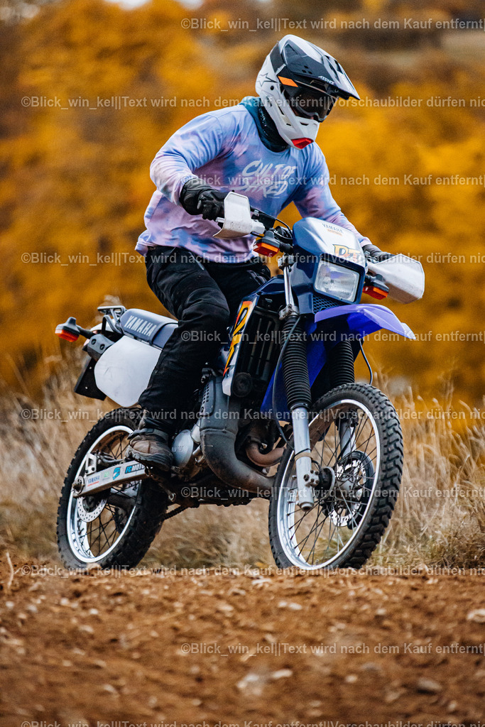 E68A2459 | blick_win_kel