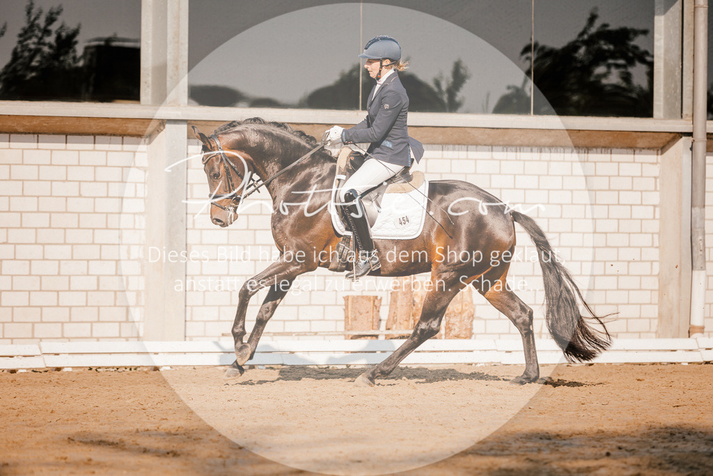 3I6A8560 | Stimmungsvolle Portraits und Reitsportfotografie im Ruhrgebiet und im Münsterland.

Pferdefotografie, Hundefotografie, Tierfotografie, Reportagen, Portraits von Tier und Mensch, Turnierfotografie in Bochum, Recklinghausen, Marl, Haltern am See, Dülmen.. - Realisiert mit Pictrs.com