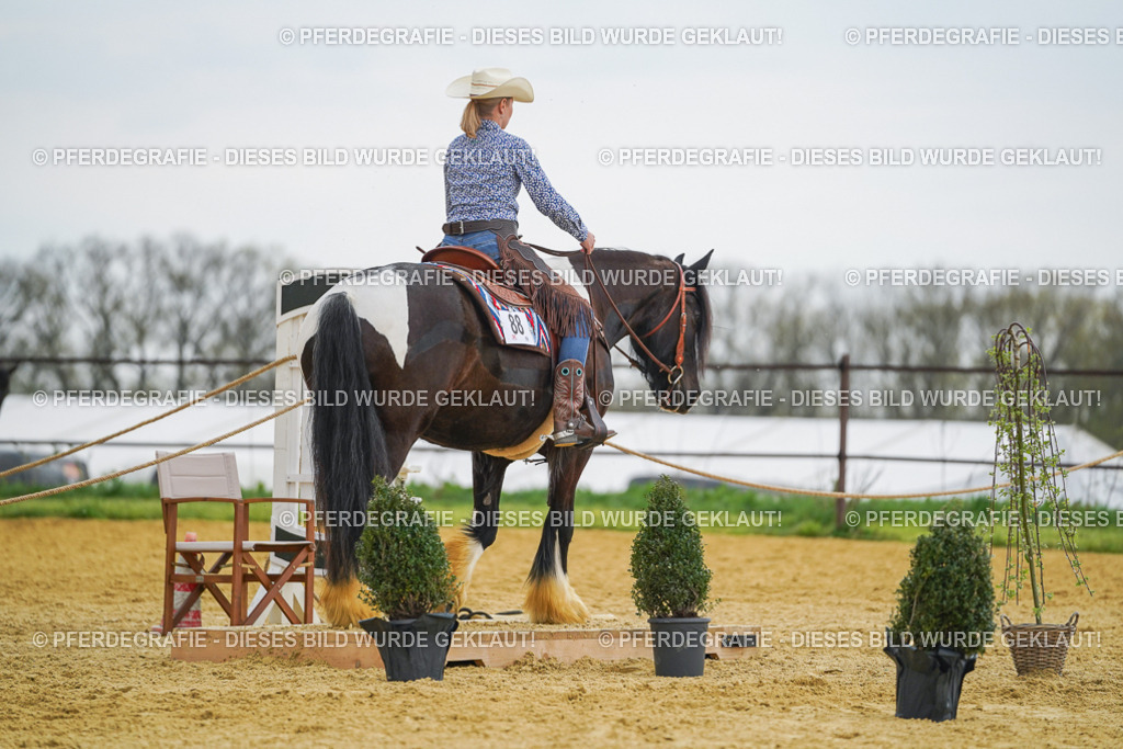 DSC08021 | Pferdegrafie