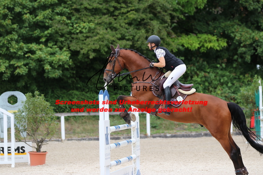 IMG_2263 | lmwpictures - Realisiert mit Pictrs.com