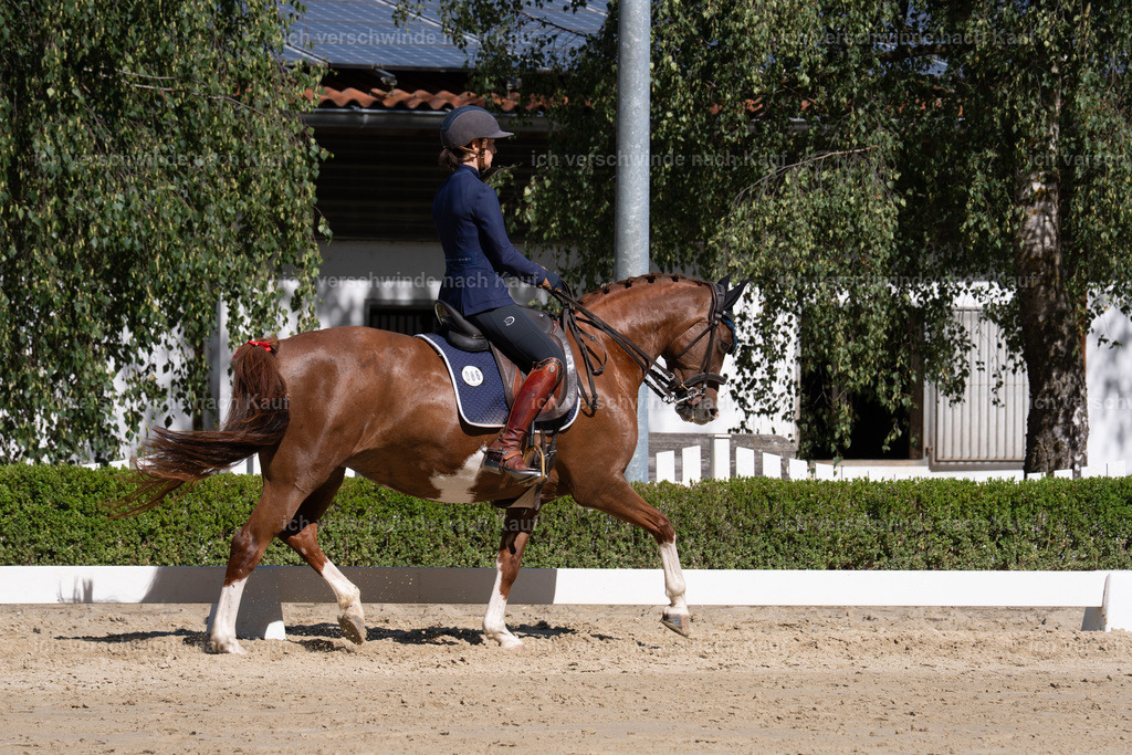 WL_DR_86_sinafilmart_IN06942 | working equitationturnier fotograf videograf stoibphotography marixx film working equitation deutschland reitsport turnierfotografie eventfotografie equestrian events