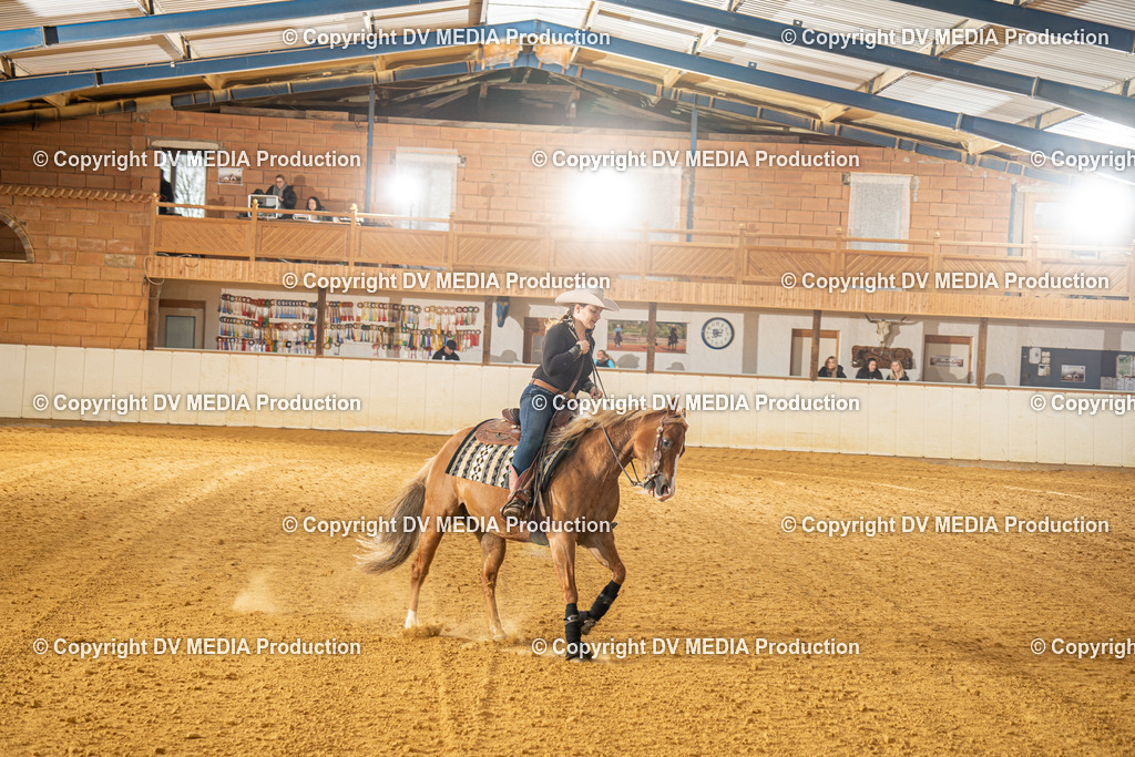 MIT00615 | dv-media-shop - Realisiert mit Pictrs.com