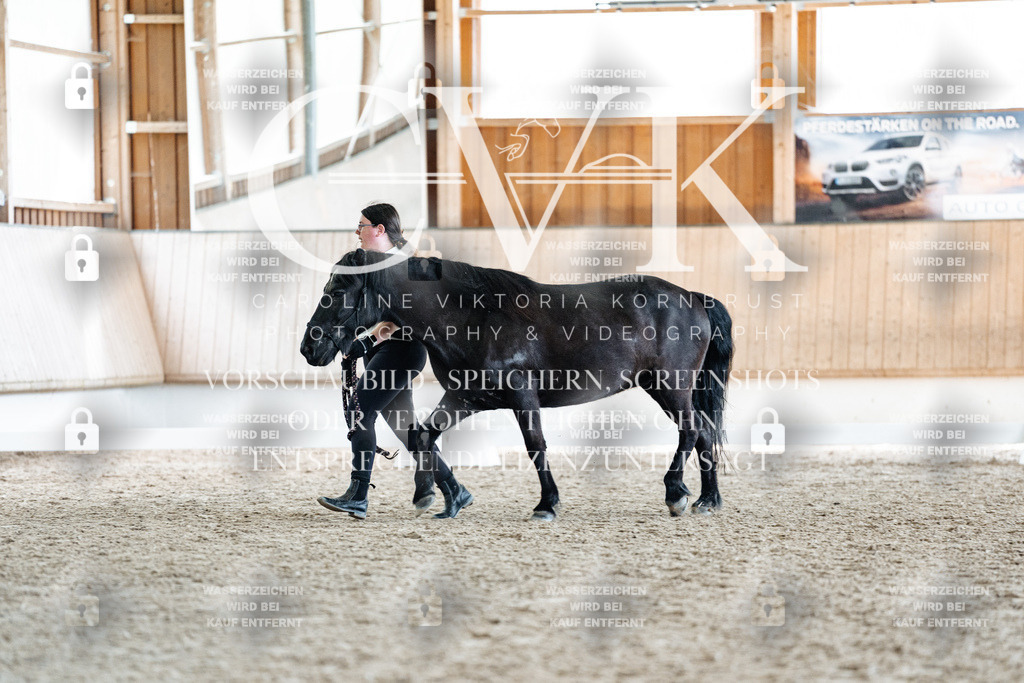 CK907959 | Turnierfotografie Pferdefotografie Trier Rheinland-Pfalz Pferdesport Reitsport Tierfotografie Sportfotografie Pferdevideo Pferdevideografie Equestrianvideography equestrianphotography  - Realized with Pictrs.com
