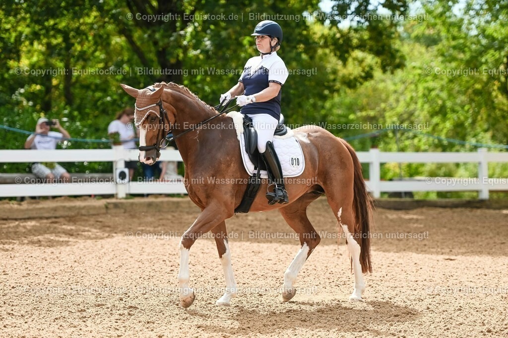 20230715_07_Dressurpferdeprfg. Kl.L_0023 | equistock