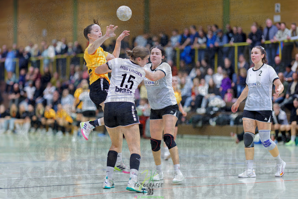 Frauen Oberliga Mitte (HHV); HSG Eibelshausen/Ewersbach - HSG Linden | Frauen Oberliga Mitte (HHV); HSG Eibelshausen/Ewersbach - HSG Linden am 15.11.2025 in Eibelshausen (Holderberghalle)Photo © 2025 - Jörg Heinrich - Realisiert mit Pictrs.com