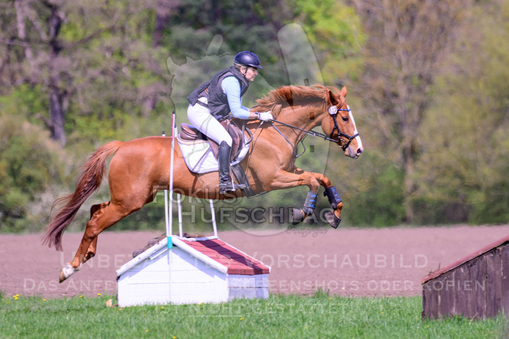 18042026-Gernlinden-01-2-0234 | Fokus Hufschlag Fotografie - Realisiert mit Pictrs.com