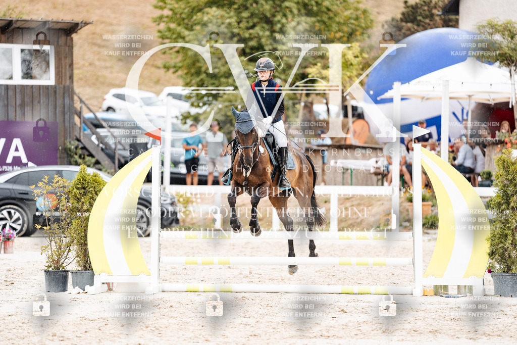CK908659 | Turnierfotografie Pferdefotografie Trier Rheinland-Pfalz Pferdesport Reitsport Tierfotografie Sportfotografie Pferdevideo Pferdevideografie Equestrianvideography equestrianphotography  - Realisiert mit Pictrs.com