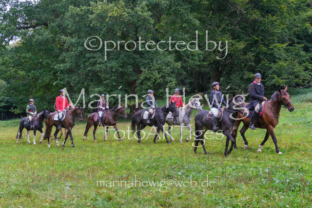 Jagd Perdoel_MarinaHewigDSCF3399 | Fotografie, FotoArt, PferdesportArt, Pferdesportfotografie, Landschaftsfotografie, Reisefotografie, Reise, Pferde - Realisiert mit Pictrs.com