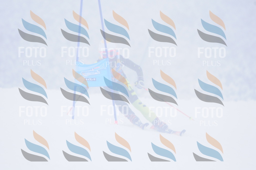 C3488 | holidayphoto