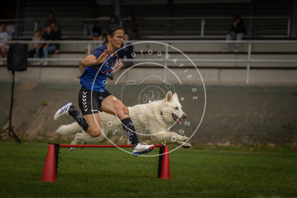 Pfotenfotografie_DV3A7558 | Hundefotografie, Tierfotograf, Pfotenfotografie, Fotoshooting Hund, Hunde Portrait, Hundesport, Hundeportraits, Heideshooting, Hunde, Sportfotograf, Hundefotograf, Turnierhundsport, THS,  - Realisiert mit Pictrs.com