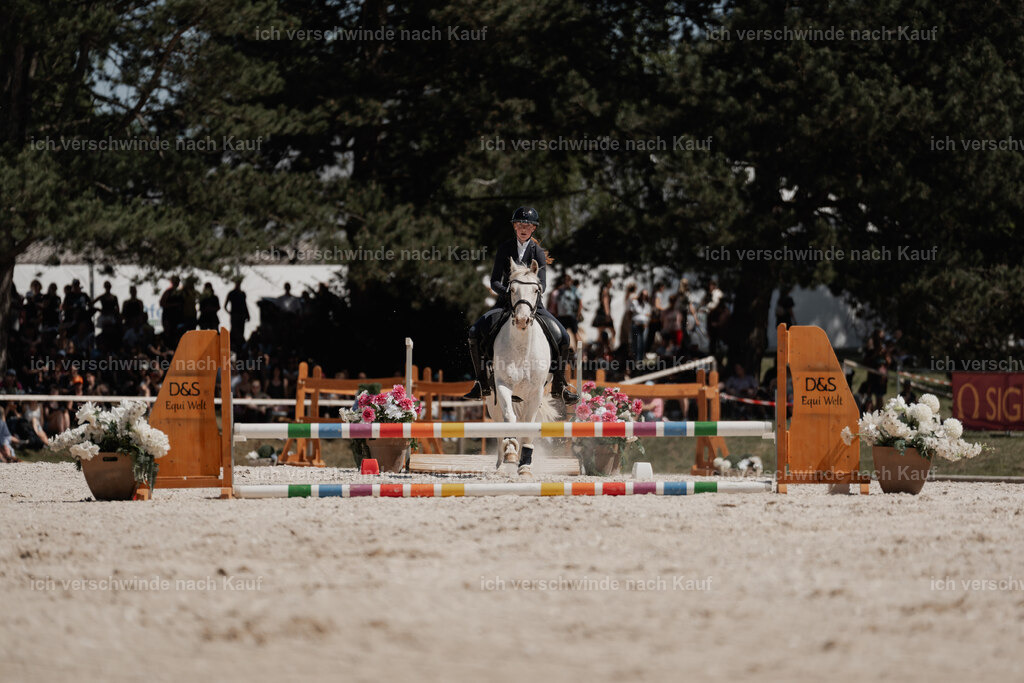 WE_SP_Stoib_318_PI2025_2086 | Pferd International München 2025