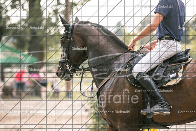 _W6A1670 | ronjaprokoschfotografie - Realisiert mit Pictrs.com