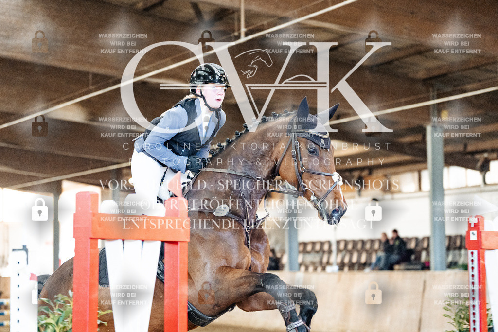 CK903710 | Turnierfotografie Pferdefotografie Trier Rheinland-Pfalz Pferdesport Reitsport Tierfotografie Sportfotografie Pferdevideo Pferdevideografie Equestrianvideography equestrianphotography  - Realisiert mit Pictrs.com