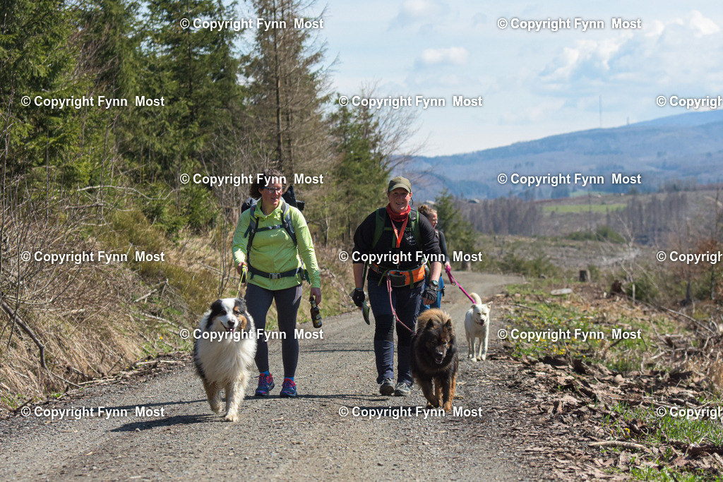 DSC_0336 | Hallo und herzlich Willkommen auf meiner Shop-Seite Fynn Most.

Ich wünsche Dir viel Spaß beim stöbern durch die Bilder, wenn Du Fragen hast oder Bilder vermisst, kannst du mir gerne eine Nachricht schreiben. - Realisiert mit Pictrs.com