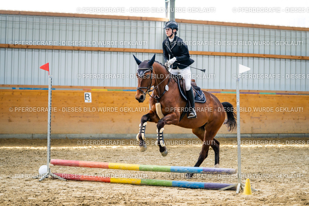 DSC01781 | Pferdegrafie