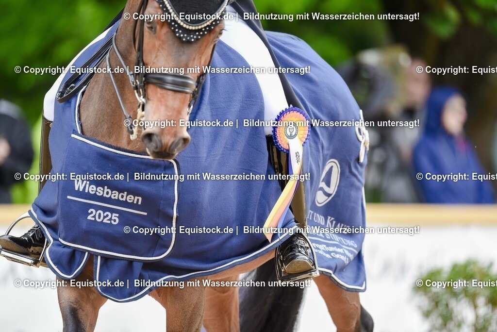 20250607_1_GP-Tour_Dressage_0501 | Foto: Thomas Hartig