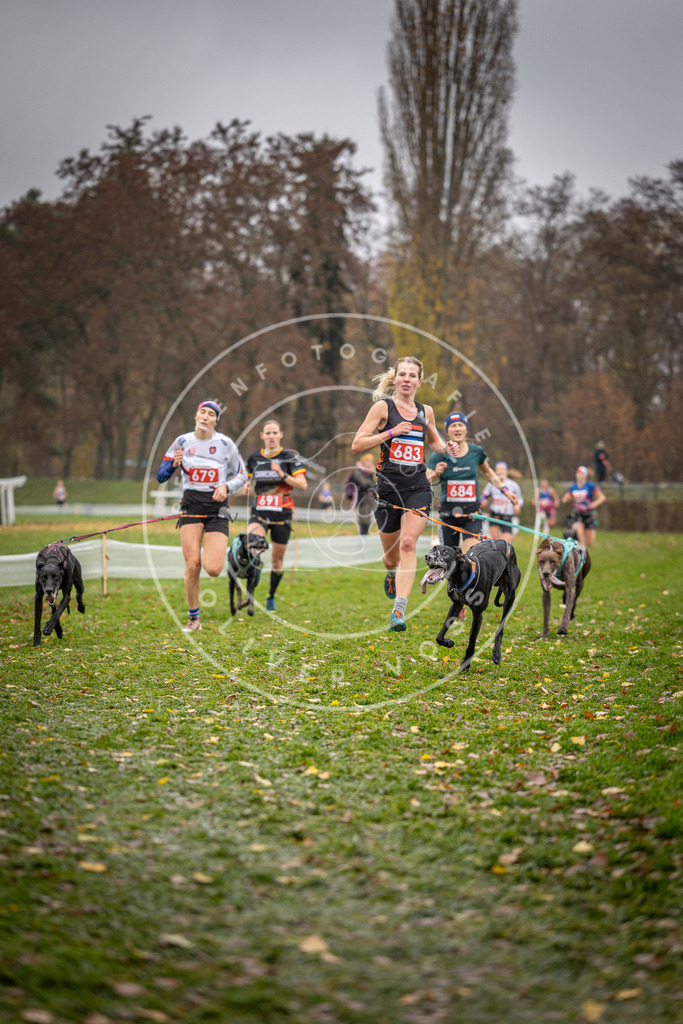 CaniXpix_DV3A8980 | Hundefotografie, Tierfotograf, Pfotenfotografie, Fotoshooting Hund, Hunde Portrait, Hundesport, Hundeportraits, Heideshooting, Hunde, Sportfotograf, Hundefotograf, Turnierhundsport, THS,  - Realisiert mit Pictrs.com