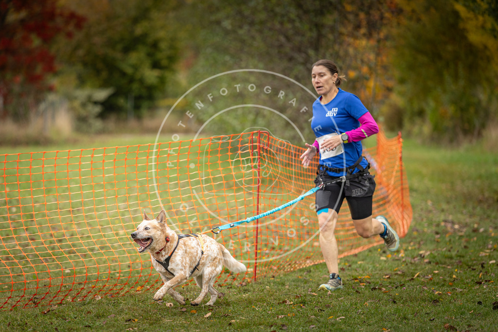 Pfotenfotografie_DV3A4106 | Hundefotografie, Tierfotograf, Pfotenfotografie, Fotoshooting Hund, Hunde Portrait, Hundesport, Hundeportraits, Heideshooting, Hunde, Sportfotograf, Hundefotograf, Turnierhundsport, THS,  - Realisiert mit Pictrs.com