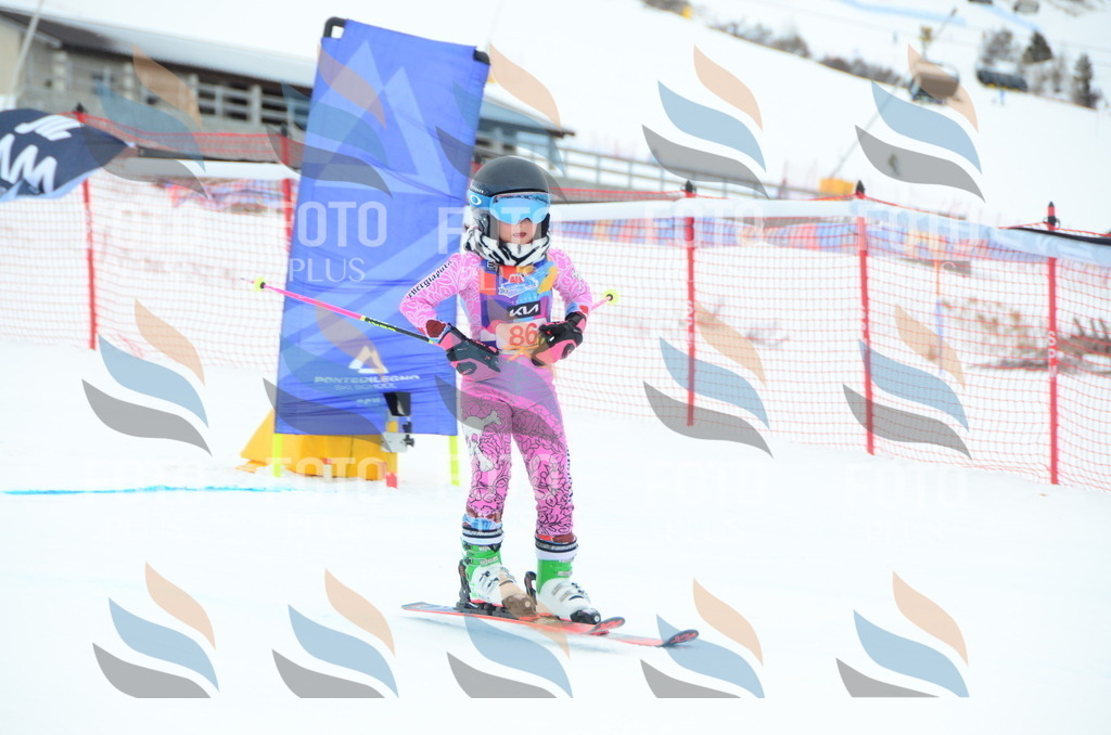 DSC_1144 | holidayphoto