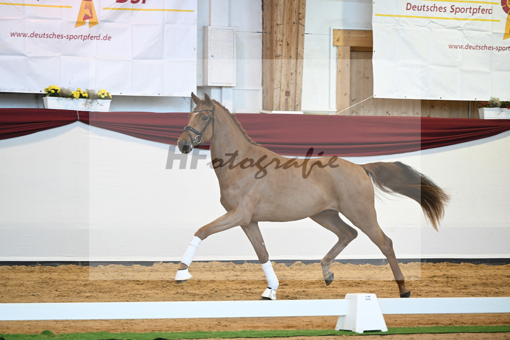 Kat-Nr. 52 v. Vaderland_Galneder_66220738 | hf-fotografie - Realizzato con Pictrs.com