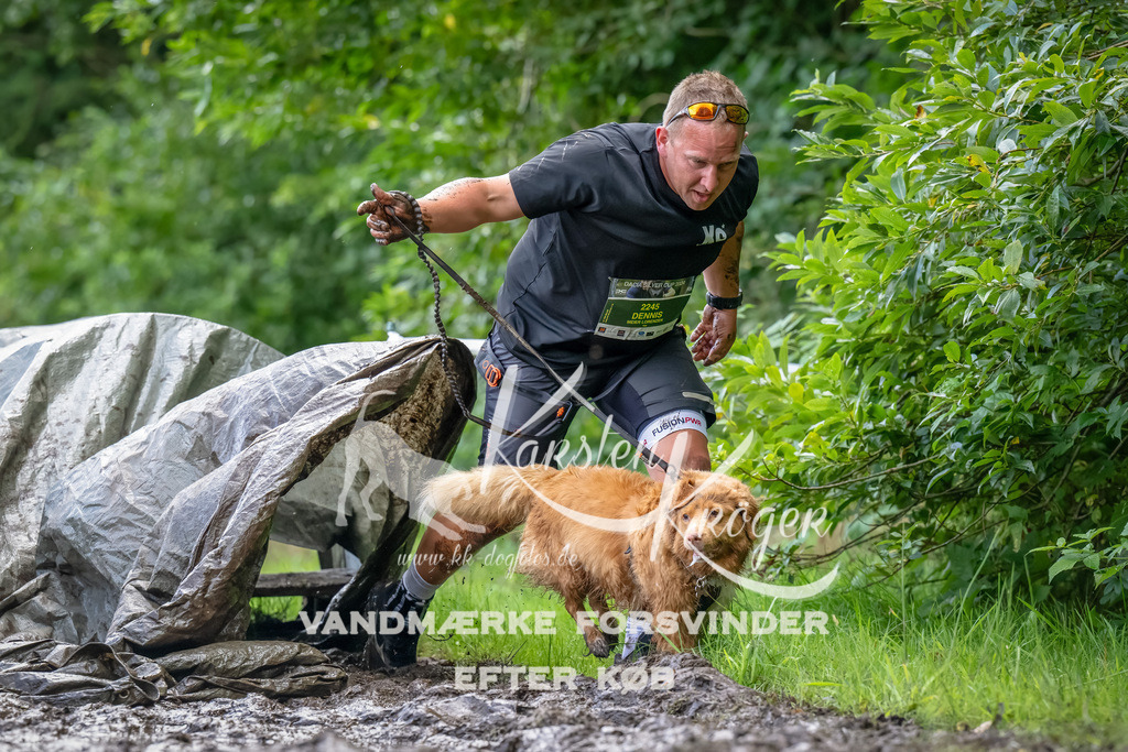 1145_ZZ94177-Bearbeitet | kk-dogfotos
