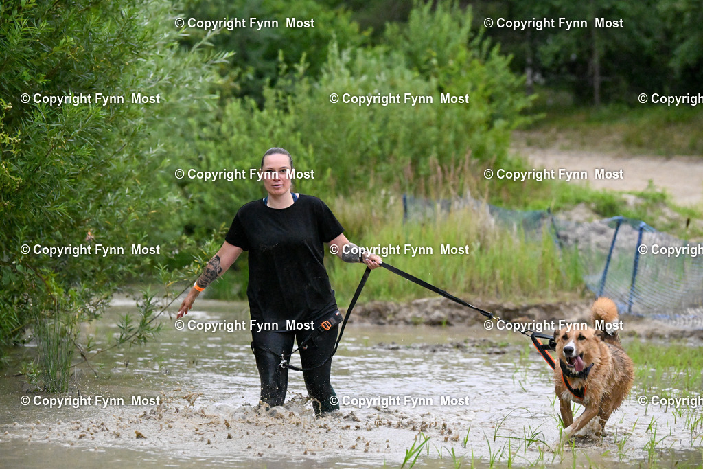 DSC_1838 | Hallo und herzlich Willkommen auf meiner Shop-Seite Fynn Most.

Ich wünsche Dir viel Spaß beim stöbern durch die Bilder, wenn Du Fragen hast oder Bilder vermisst, kannst du mir gerne eine Nachricht schreiben. - Realisiert mit Pictrs.com