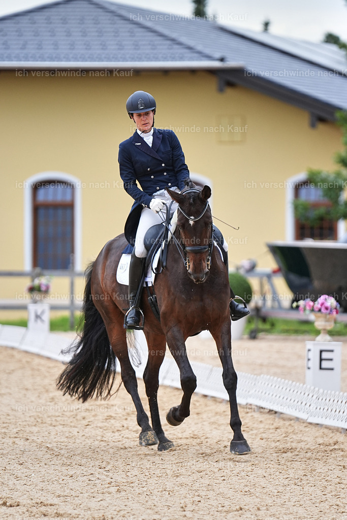 8_1-087-Klasse S_  -Marixx-4128 | working equitationturnier fotograf videograf stoibphotography marixx film working equitation deutschland reitsport turnierfotografie eventfotografie equestrian events