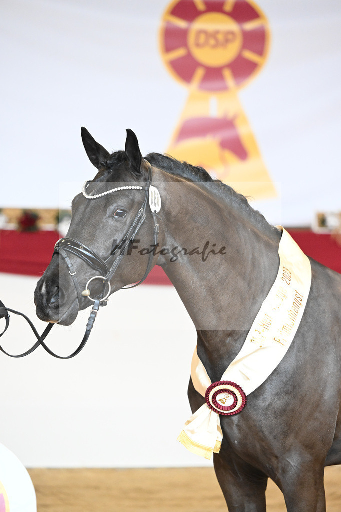 Kat-Nr. 68 Secret_Reich_1232083 | hf-fotografie - Realisiert mit Pictrs.com