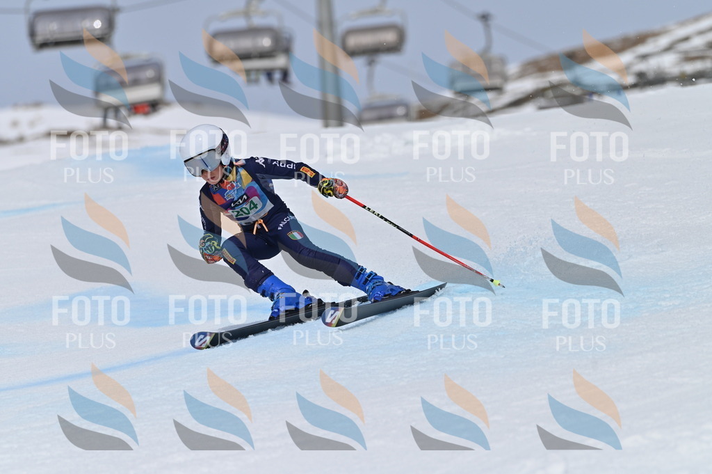 BGV_3930 | holidayphoto