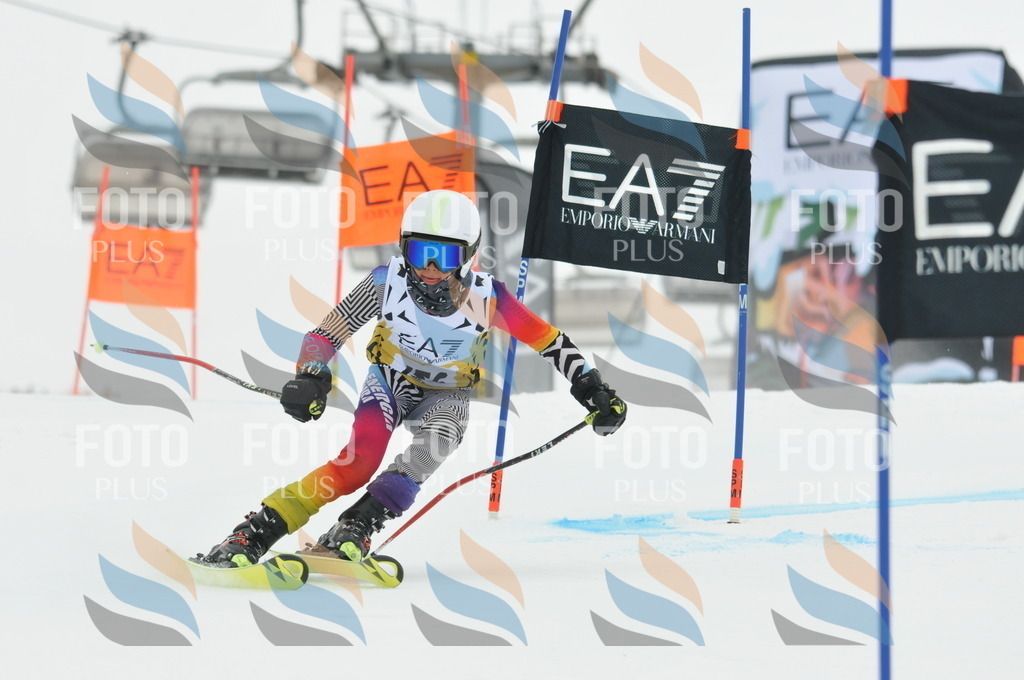 DSC_8482 | holidayphoto