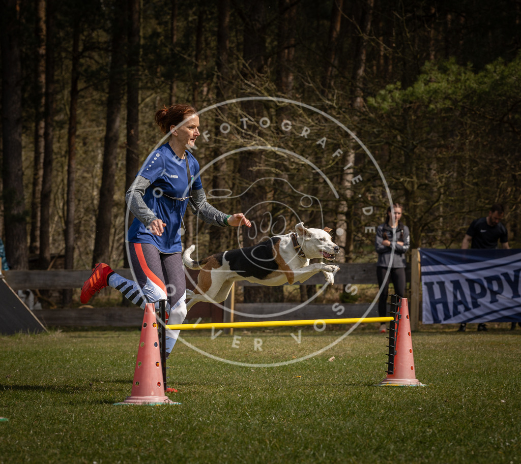 Pfotenfotografie_DV3A3582 | Hundefotografie, Tierfotograf, Pfotenfotografie, Fotoshooting Hund, Hunde Portrait, Hundesport, Hundeportraits, Heideshooting, Hunde, Sportfotograf, Hundefotograf, Turnierhundsport, THS,  - Realisiert mit Pictrs.com