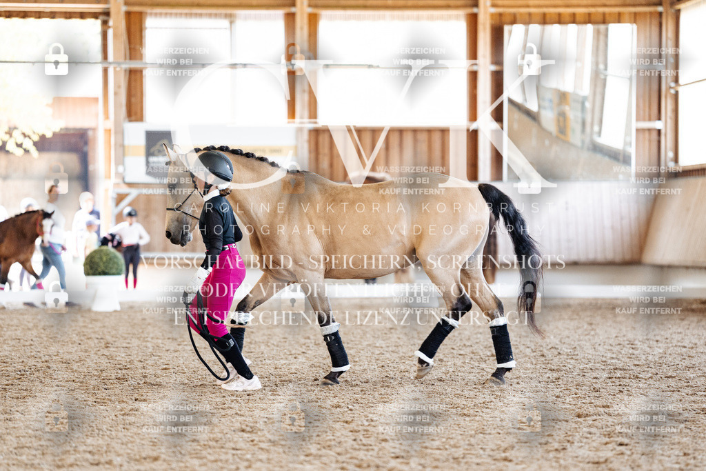 CK907201 | Turnierfotografie Pferdefotografie Trier Rheinland-Pfalz Pferdesport Reitsport Tierfotografie Sportfotografie Pferdevideo Pferdevideografie Equestrianvideography equestrianphotography  - Realisiert mit Pictrs.com