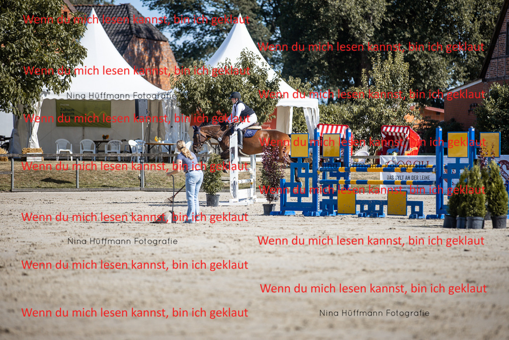 BK1A7110 | Turnierbilder Turnierfotos Nina Hüffmann Turnierfotografie Pferdefotografie Tierzeichnung Haustierzeichnung Pferdezeichnung Hundezeichnung Videograf  - Realisiert mit Pictrs.com