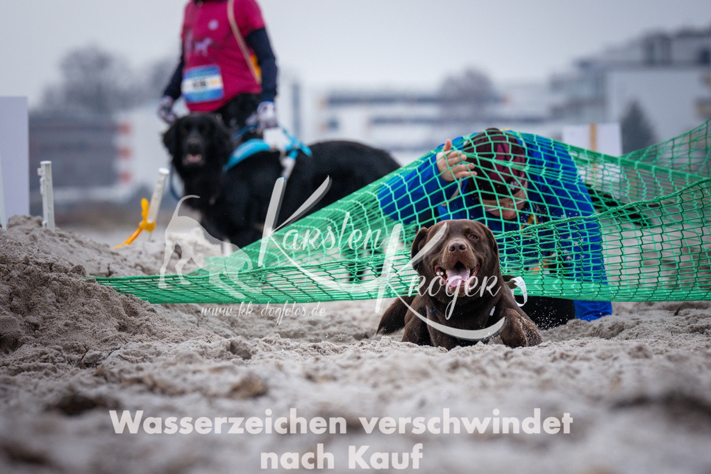 1216_ZZ93088 | kk-dogfotos