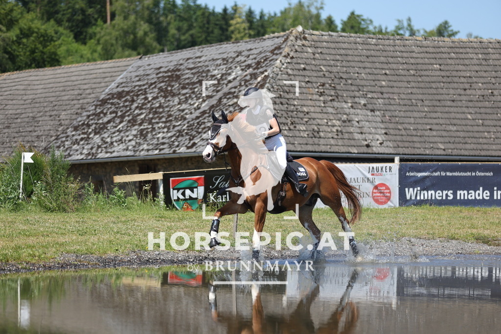 0P6A4049 | Willkommen bei Brunnmayr - Design & Fotografie – Ihrem Spezialisten für Reitturniere und Pferdeveranstaltungen in Oberösterreich, Salzburg und Bayern! Seit über 17 Jahren sind wir leidenschaftlich dabei.