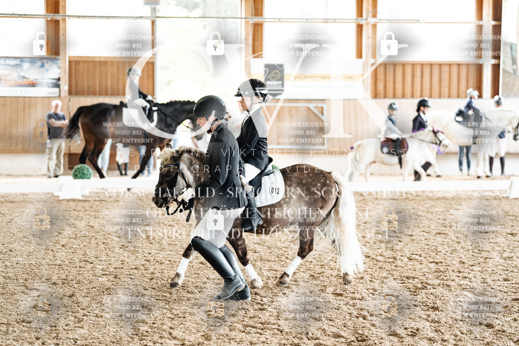 CK902014 | Turnierfotografie Pferdefotografie Trier Rheinland-Pfalz Pferdesport Reitsport Tierfotografie Sportfotografie Pferdevideo Pferdevideografie Equestrianvideography equestrianphotography  - Realized with Pictrs.com