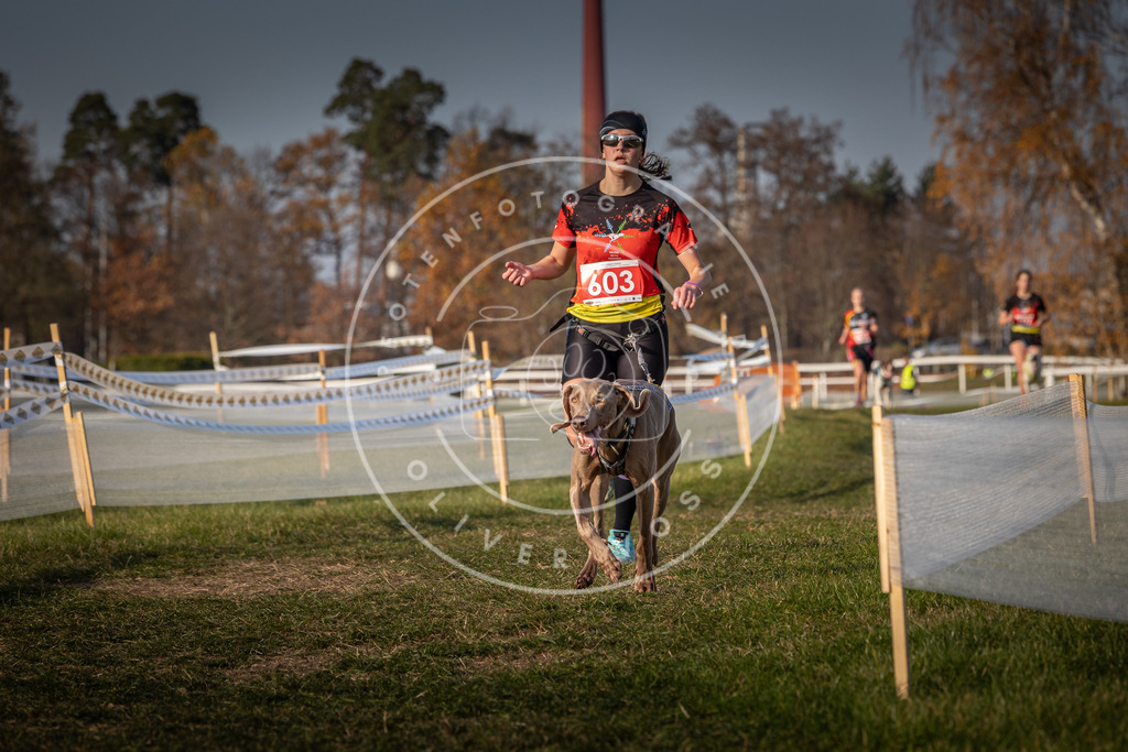 CaniXpix_0L8A0071 | Hundefotografie, Tierfotograf, Pfotenfotografie, Fotoshooting Hund, Hunde Portrait, Hundesport, Hundeportraits, Heideshooting, Hunde, Sportfotograf, Hundefotograf, Turnierhundsport, THS,  - Realisiert mit Pictrs.com