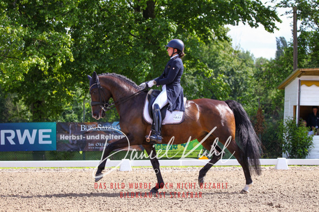 DKP41347 | Deine Turnierfotos vom Reitturnier online kaufen: Dressur, Springen & Siegerehrung. Professionelle Pferdefotografie aus dem Rheinland – als Download & Print.Alternative: Turnierfotograf für den Pferdesport: Finde deine Fotos von Dressur- und Springturnier